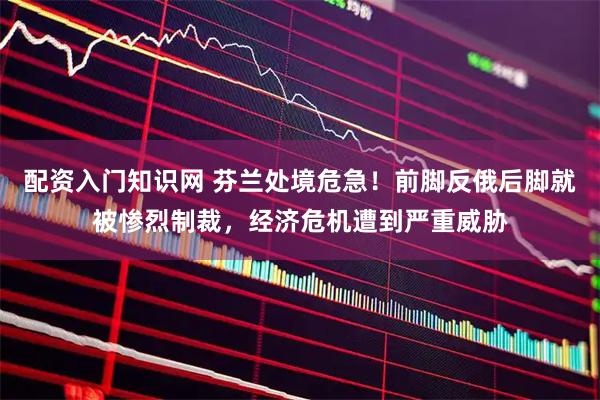 配资入门知识网 芬兰处境危急！前脚反俄后脚就被惨烈制裁，经济危机遭到严重威胁