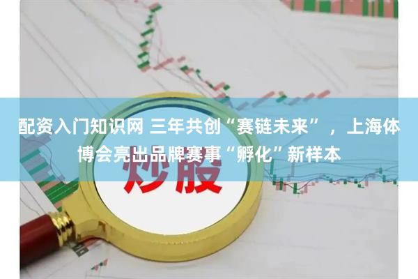 配资入门知识网 三年共创“赛链未来” ，上海体博会亮出品牌赛事“孵化”新样本